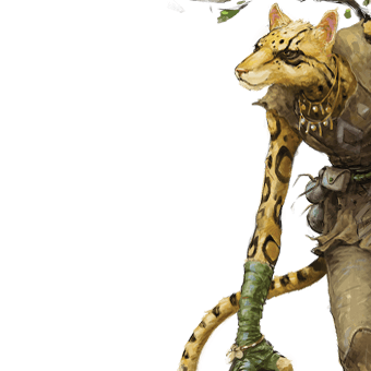 Tabaxi